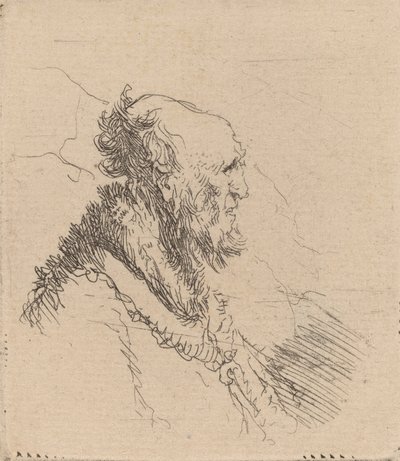 Holohlavý starý muž s krátkým plnovousem z profilu, c. 1635. od Rembrandt van Rijn