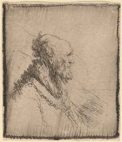 Holohlavý starý muž s krátkým plnovousem z profilu, c. 1635. od Rembrandt van Rijn