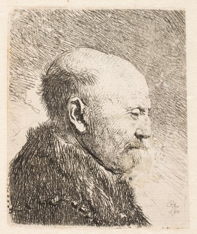 Plešatý muž z profilu (Rembrandtův otec?) od Rembrandt van Rijn