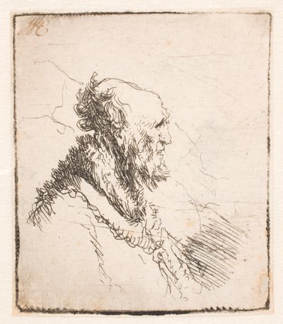 Holohlavý starý muž s krátkým plnovousem, z profilu vpravo od Rembrandt van Rijn