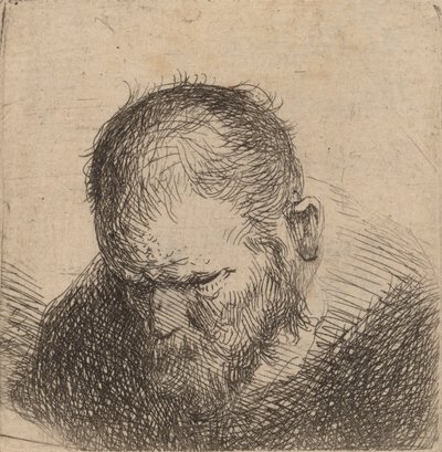 Bearded Man Looking Down, možná 1631. od Rembrandt van Rijn
