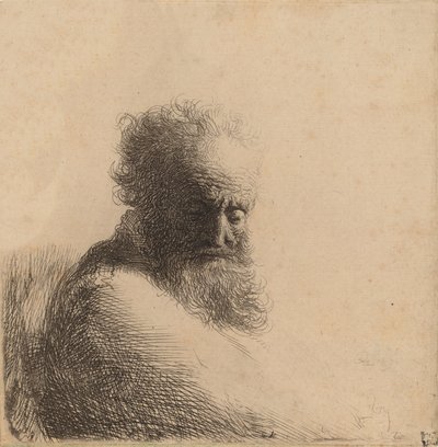 Busta starého vousatého muže, dívá se dolů, tři čtvrtiny vpravo, 1631. od Rembrandt van Rijn