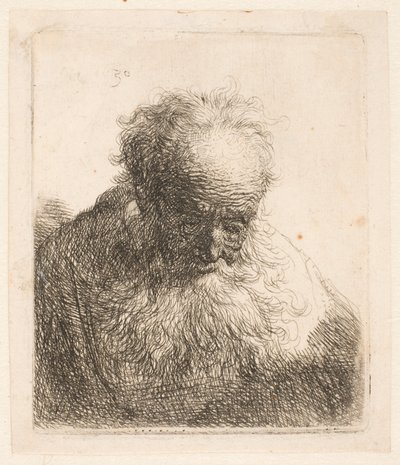 Busta starého muže s vlajícím vousem: hlava skloněná vpřed: levé rameno nezastíněné od Rembrandt van Rijn