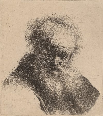 Busta starého muže s vlajícím plnovousem a bílým rukávem, c. 1630. od Rembrandt van Rijn