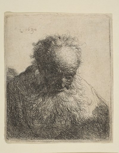 Busta starého muže s vlajícím plnovousem: hlava skloněná vpřed: levé rameno nezastíněné, 1630. od Rembrandt van Rijn