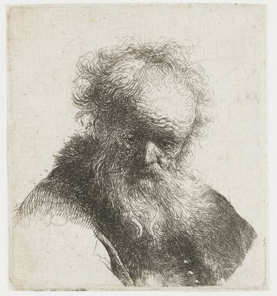 Busta starého muže s vlajícím plnovousem a bílým rukávem od Rembrandt van Rijn