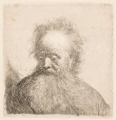 Busta starého muže s rozpuštěným vousem: hlava téměř vzpřímená: oči sklopené: pohled mírně doleva od Rembrandt van Rijn