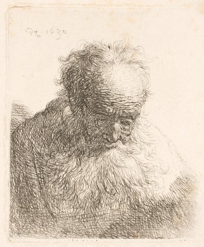 Busta starého muže s rozpuštěnou bradou: hlava skloněná dopředu; levé rameno není ve stínu od Rembrandt van Rijn