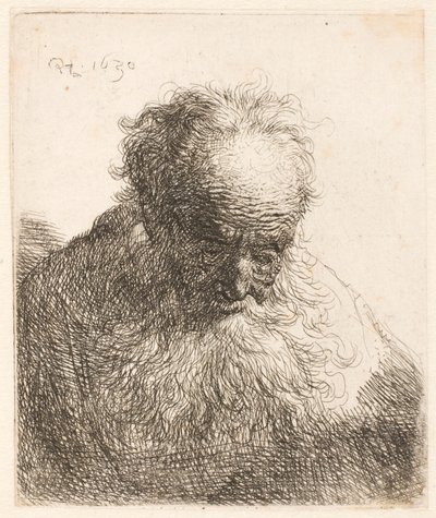 Busta starého muže s rozpuštěnou bradou: hlava skloněná dopředu: levé rameno není ve stínu od Rembrandt van Rijn