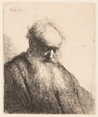 Busta starého muže s rozpuštěnou bradou: hlava nakloněná o tři čtvrtiny doprava od Rembrandt van Rijn