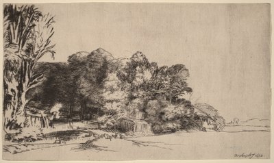 Skupina stromů s výhledem od Rembrandt van Rijn