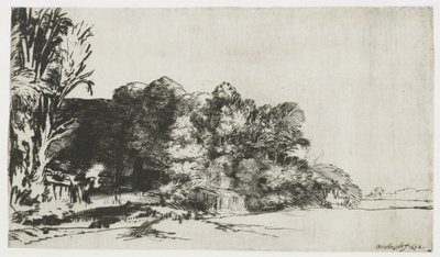 Shluk stromů s výhledem od Rembrandt van Rijn
