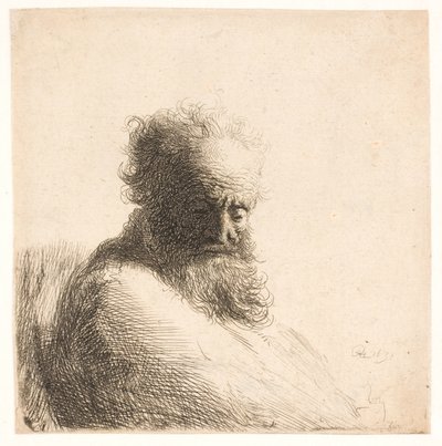 Starý vousatý muž. poprsí od Rembrandt van Rijn