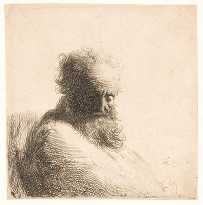 Starý vousatý muž. poprsí od Rembrandt van Rijn