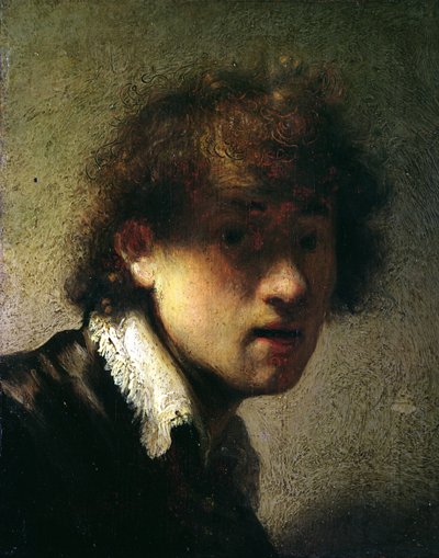 Hlava mladého muže nebo autoportrét, 1629 od Rembrandt van Rijn