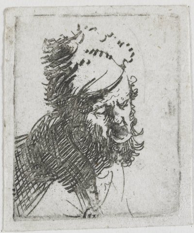 Hlava muže v kožešinové čepici, který křičí od Rembrandt van Rijn