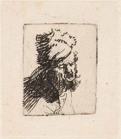 Hlava muže v kožešinové čepici, který křičí od Rembrandt van Rijn