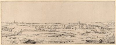 Krajina s výhledem na Haarlem (The Goldweigher