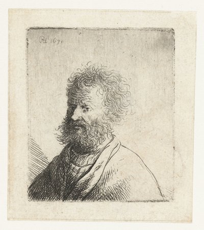 Muž s čtvercovým vousem a kudrnatými vlasy: busta od Rembrandt van Rijn