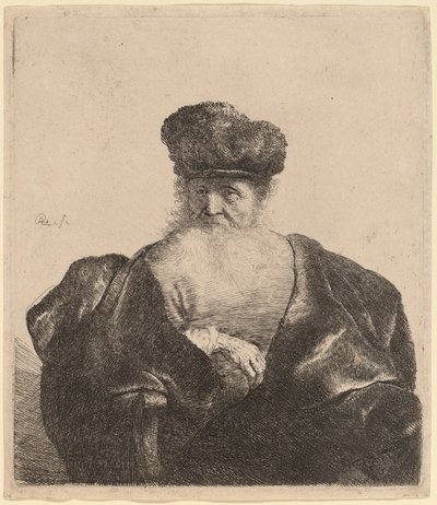 Starý muž s vousy, kožešinovou čepicí a sametovým pláštěm od Rembrandt van Rijn