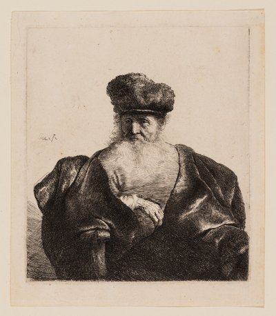 Starý muž s vousy, kožešinovou čepicí a sametovým pláštěm od Rembrandt van Rijn