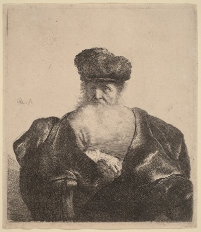Starý muž s vousy, kožešinovou čepicí a sametovým pláštěm od Rembrandt van Rijn