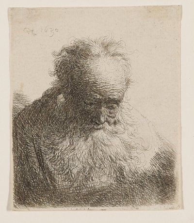 Stařec s dlouhou bradou (hlava skloněná dopředu, levé rameno nezastíněné) od Rembrandt van Rijn
