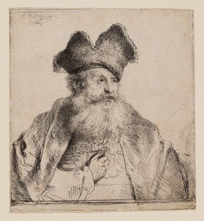 Starý muž s dělenou kožešinovou čepicí od Rembrandt van Rijn
