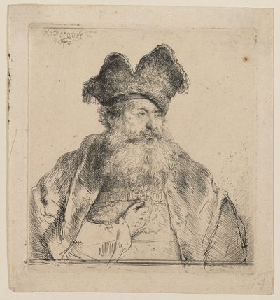 Stařec s rozříznutou kožešinovou čepicí od Rembrandt van Rijn