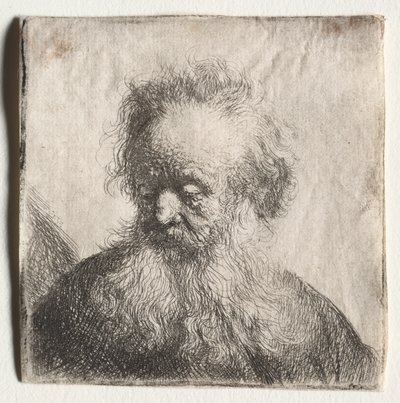 Starý muž s vlajícím plnovousem: Poprsí od Rembrandt van Rijn