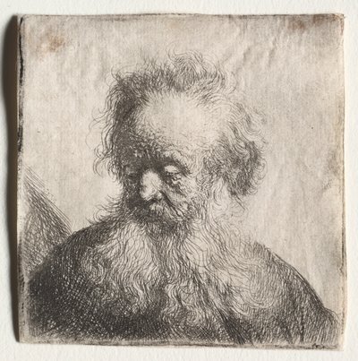Starý muž s vlajícím vousem: Busta, 1631. od Rembrandt van Rijn