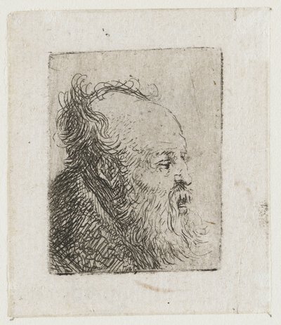 Starý vousatý muž s pootevřenými ústy od Rembrandt van Rijn