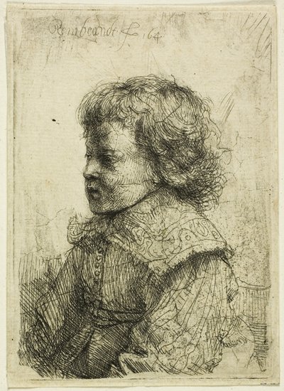 Portrét chlapce od Rembrandt van Rijn