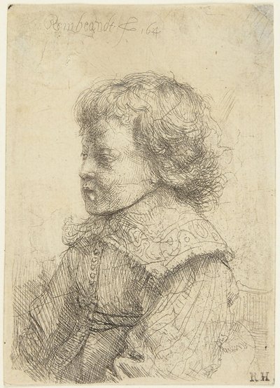 Portrét chlapce od Rembrandt van Rijn