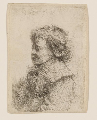Portrét chlapce z profilu od Rembrandt van Rijn