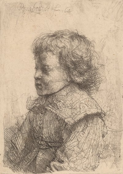 Portrét chlapce z profilu, 1641. od Rembrandt van Rijn