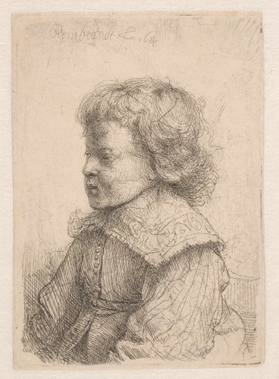 Portrét chlapce z profilu od Rembrandt van Rijn