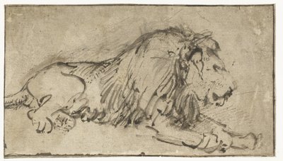 Ležící lev od Rembrandt van Rijn