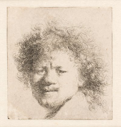 Rembrandt s dlouhými hustými vlasy: pouze hlava od Rembrandt van Rijn