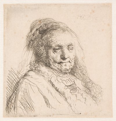 Rembrandtova matka: hlava a poprsí, pohled ze tří čtvrtin od Rembrandt van Rijn