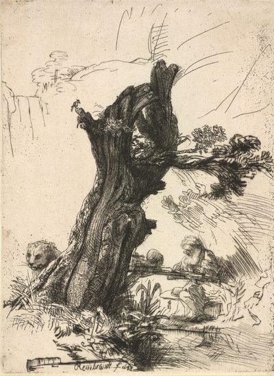 Svatý Jeroným vedle Pollard Willow, 1648. od Rembrandt van Rijn