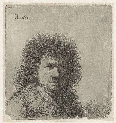 Autoportrét s huňatými vlasy: poprsí od Rembrandt van Rijn
