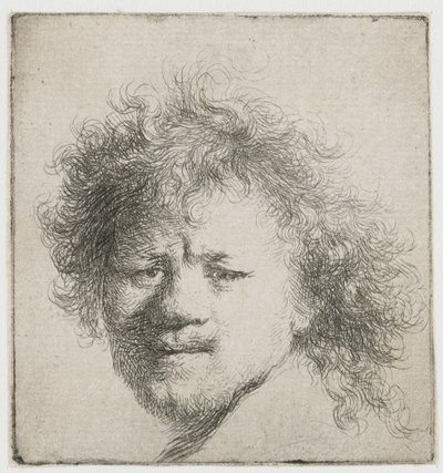 Autoportrét s dlouhými huňatými vlasy: pouze hlava od Rembrandt van Rijn