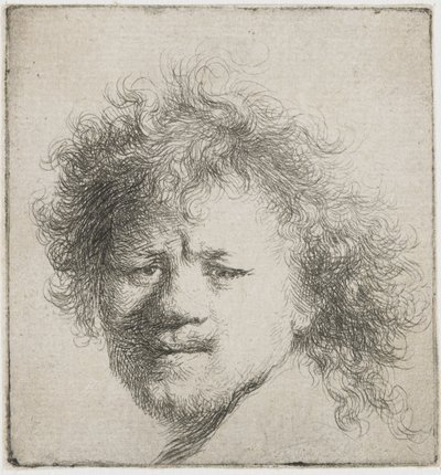 Autoportrét s dlouhými huňatými vlasy: pouze hlava, cca 1631. od Rembrandt van Rijn