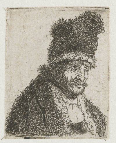 Série studií mužské hlavy: starý muž v kožichu a vysoké čepici od Rembrandt van Rijn