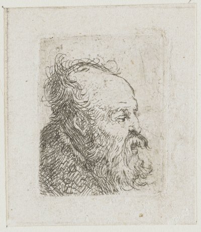 Série studií mužských hlav: starý vousatý muž téměř v profilu směrem doprava: ústa napůl pootevřená od Rembrandt van Rijn