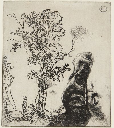 List se dvěma studiemi: Strom a horní část autoportrétu s sametovou čepicí od Rembrandt van Rijn