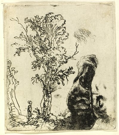 List se dvěma studiemi: Strom a horní část hlavy umělce v sametové čepici od Rembrandt van Rijn
