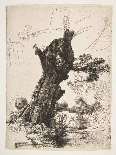 St. Jeroným vedle Pollard Willow, 1648. od Rembrandt van Rijn