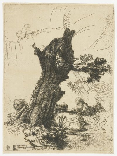 Svatý Jeroným vedle vrby polardové od Rembrandt van Rijn